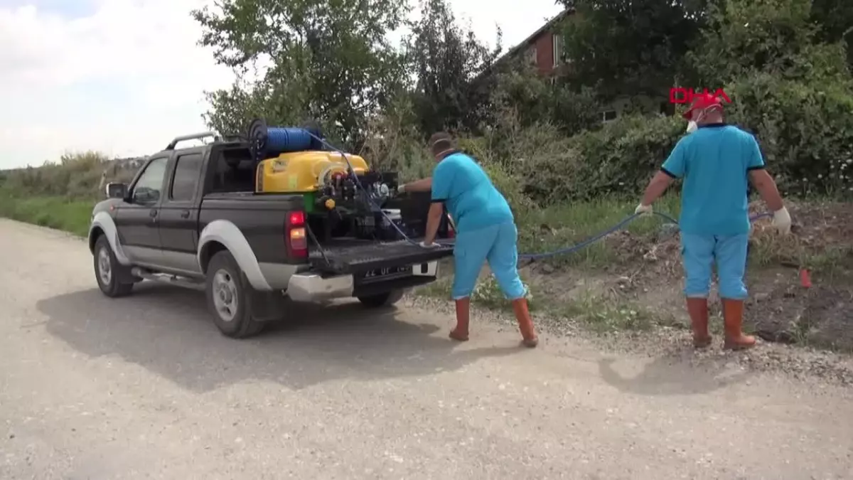 Edirne\'de Sivrisinek Popülasyonuyla Mücadele Devam Ediyor