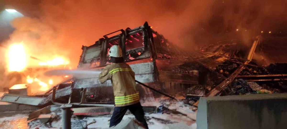 Hatay\'da Kontrolden Çıkan Tır Gişelere Çarptı: 2 Yaralı