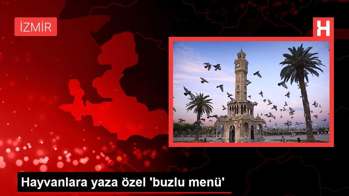 Hayvanlara yaza özel 'buzlu menü'