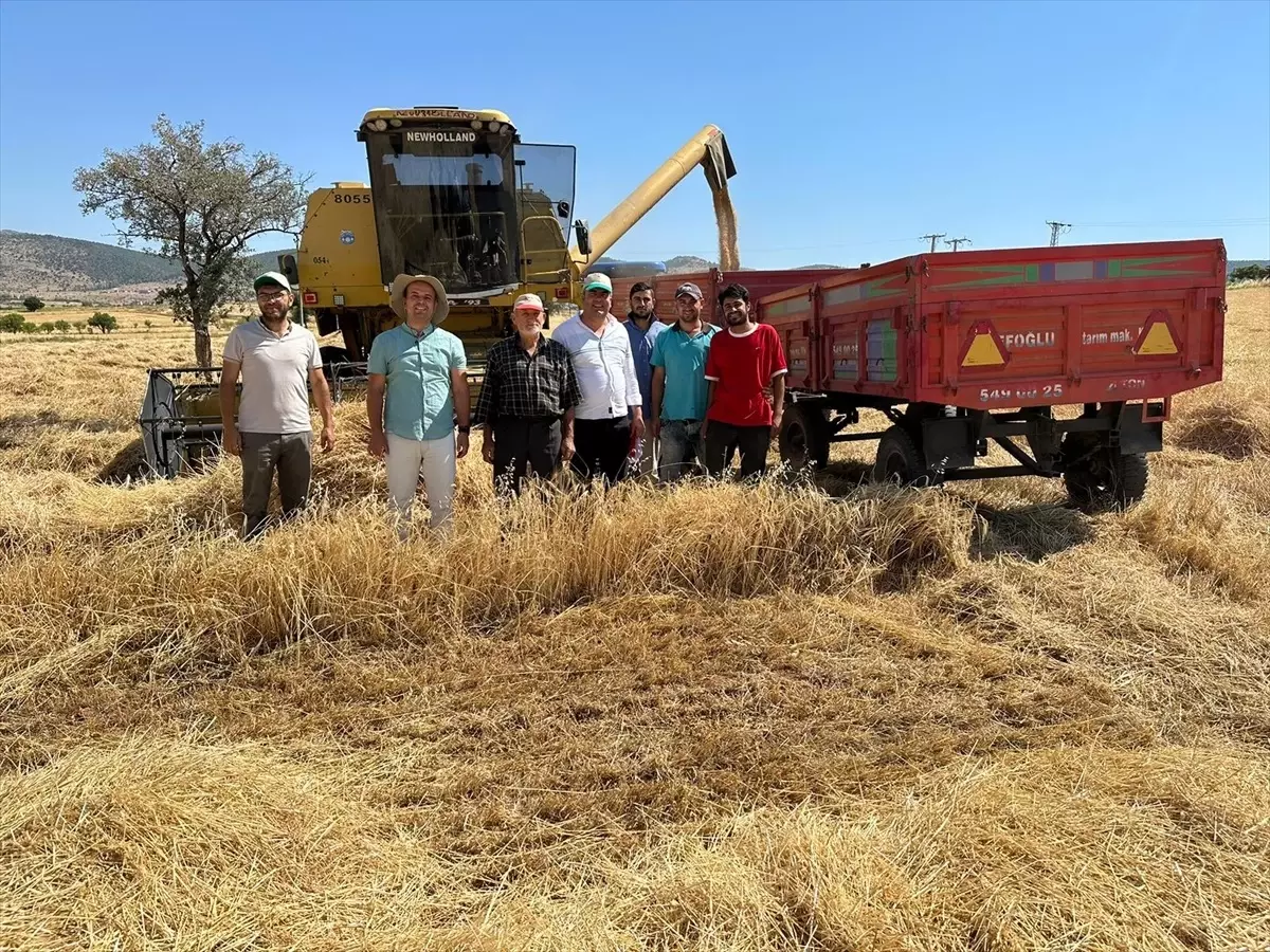Hüyük\'te biçerdöver kontrolleri gerçekleştiriliyor