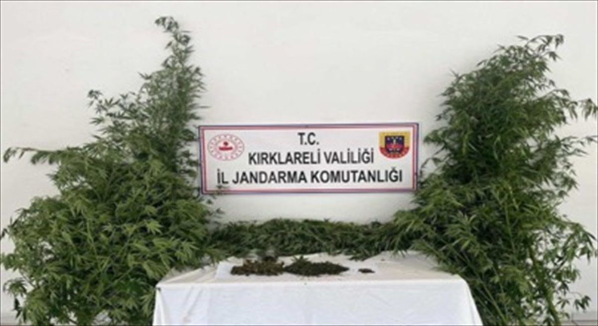 Kırklareli\'nde Kaçakçılık Operasyonunda Uyuşturucu, İçki ve Kaçak Kazı Malzemeleri Ele Geçirildi