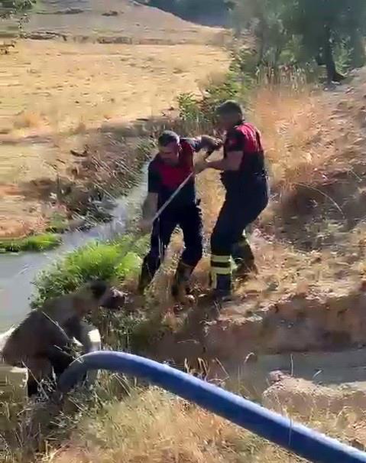 Adıyaman\'da Su Kuyusuna Düşen Sokak Köpeği Kurtarıldı
