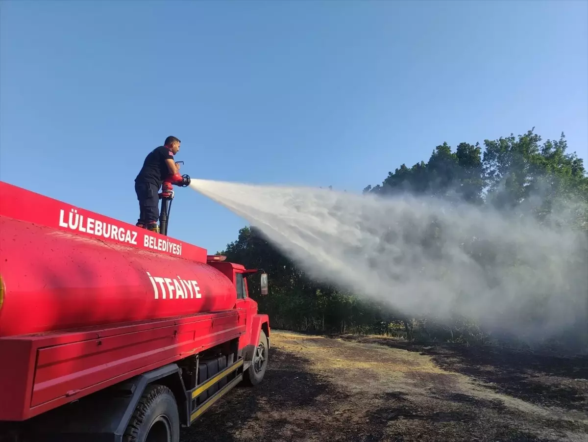Lüleburgaz'da çıkan anız ve orman yangını söndürüldü
