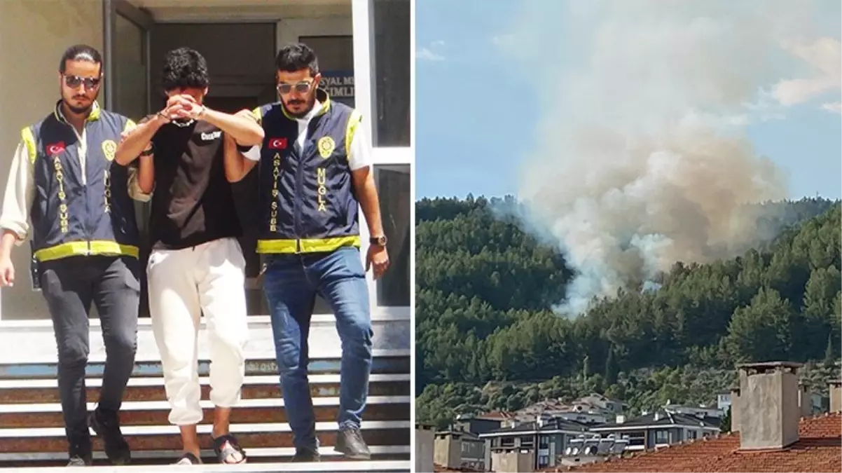 Muğla\'da ormanı yakan şahıstan akıl almaz savunma geldi