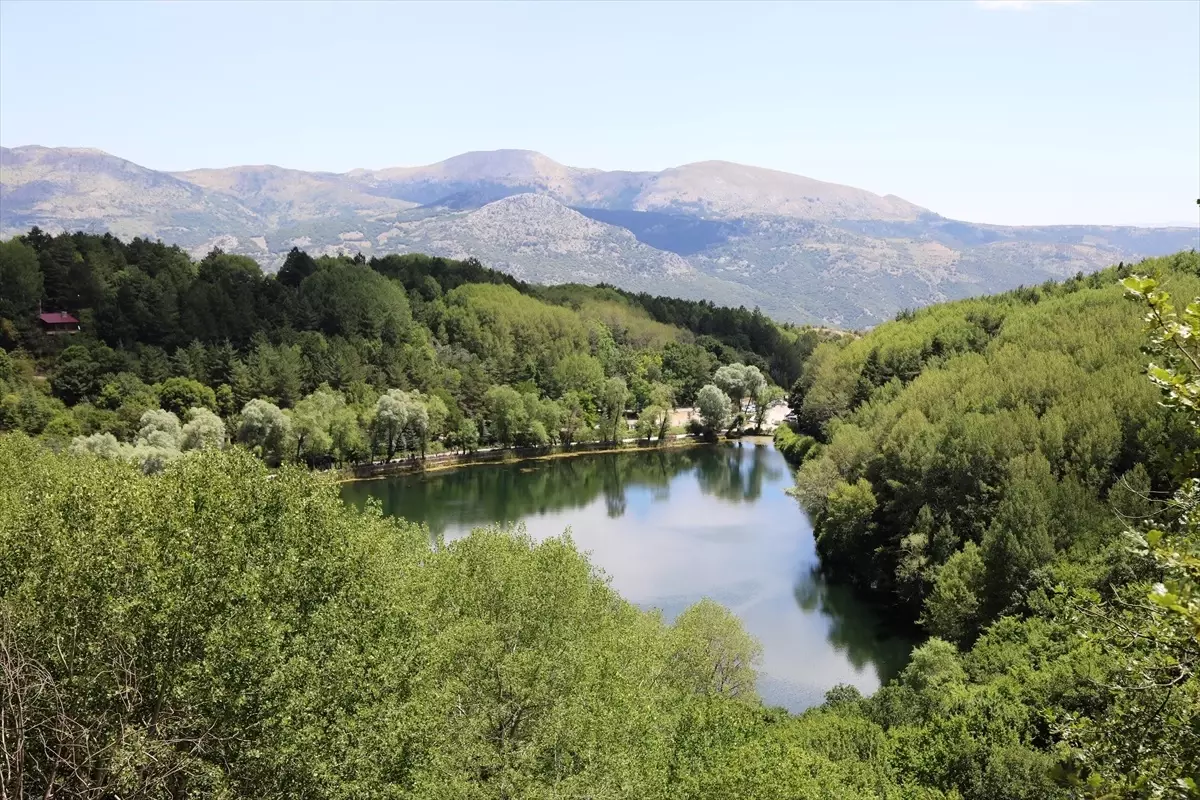 Ankara\'nın Çubuk ilçesindeki Karagöl Tabiat Parkı, serinlemek isteyenlerin akınına uğruyor