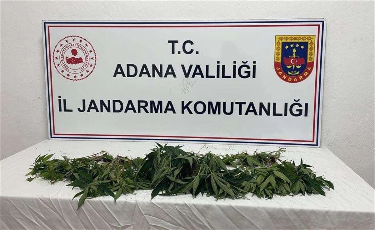 Adana\'da Uyuşturucu Ticareti Yapan 4 Kişi Gözaltına Alındı