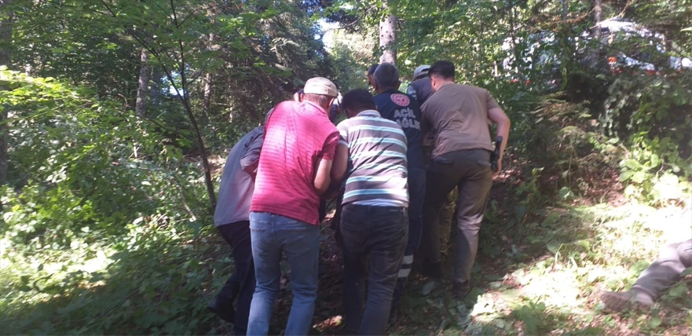Bolu\'da devrilen traktörün altında kalan sürücü yaralandı