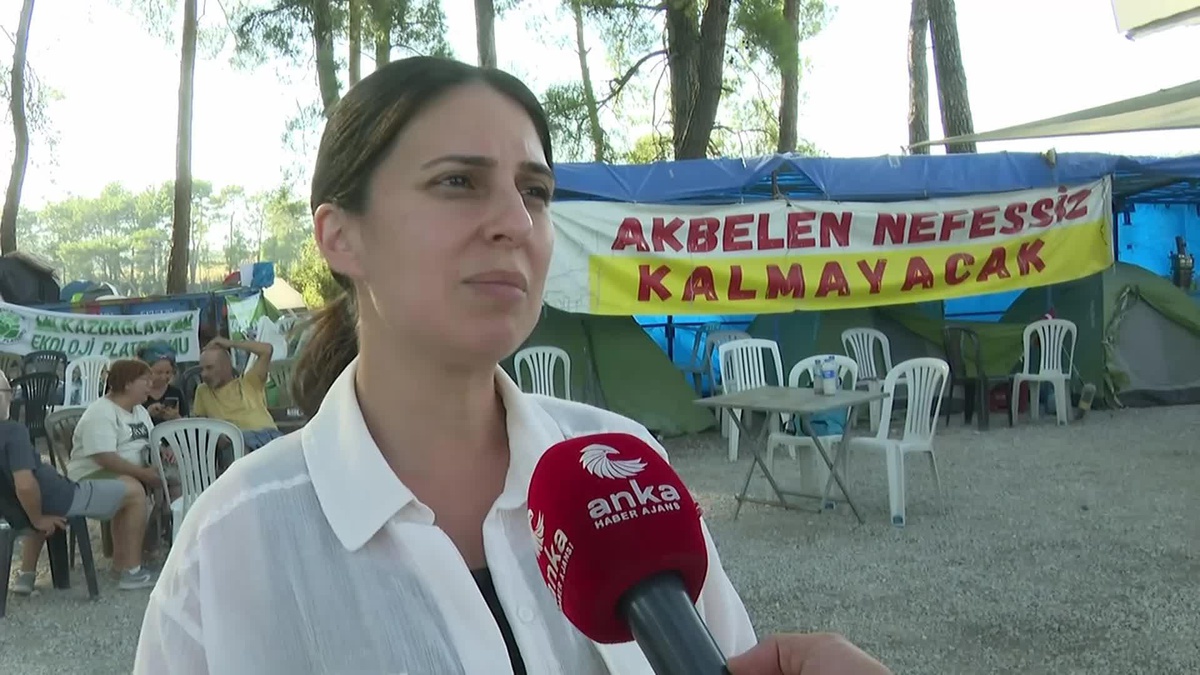CHP Milletvekili Gizem Özcan: Ağaç Kesilen Alan Maden Sahasına Çevrilmemeli