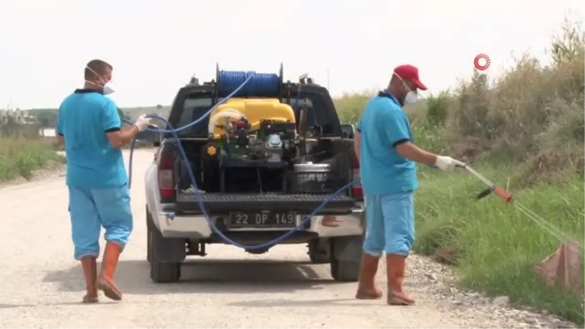 Edirne\'de sivrisinek ilaçlaması için 4 milyon 200 bin liralık bütçe