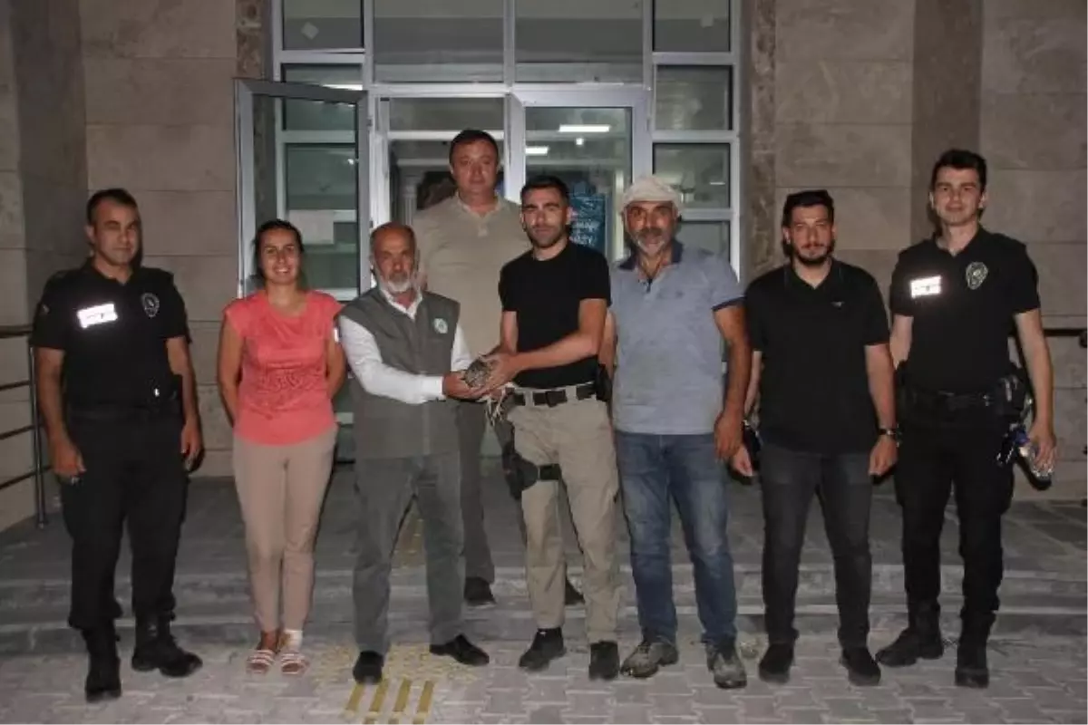 Nesli Tehlike Altındaki Balaban Kuşu Malazgirt İlçe Emniyet Müdürlüğü'nde Tedavi Altına Alındı
