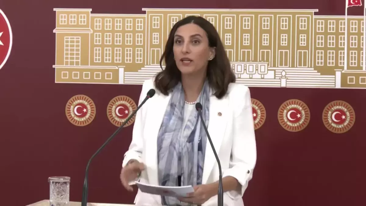 Evrim Rızvanoğlu: "Akbelen\'i Savunmayı Bir Vatanperverlik Meselesi Olarak Görüyoruz"