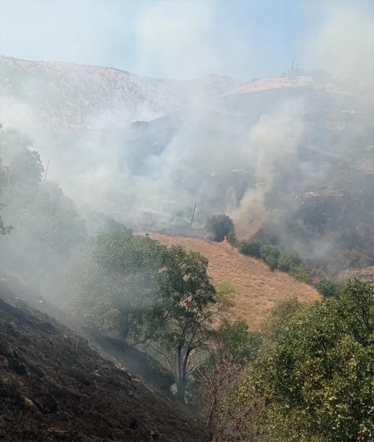 Malatya\'da çıkan yangında 500 hektarlık alan zarar gördü