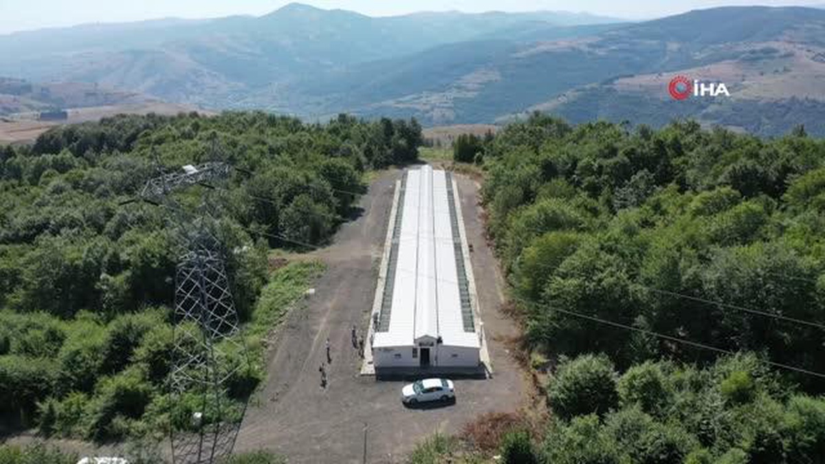 \'Proteo\' Yavrulu Anne Bakım ve Yaşam Merkezi\'nde Yasaklı Irklara Hizmet Veriyor