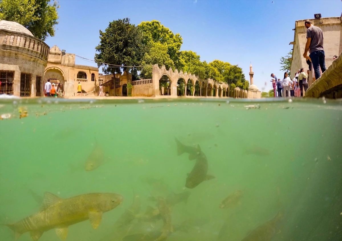 Şanlıurfa\'daki Balıklıgöl, Turistlerin İlgi Odağı