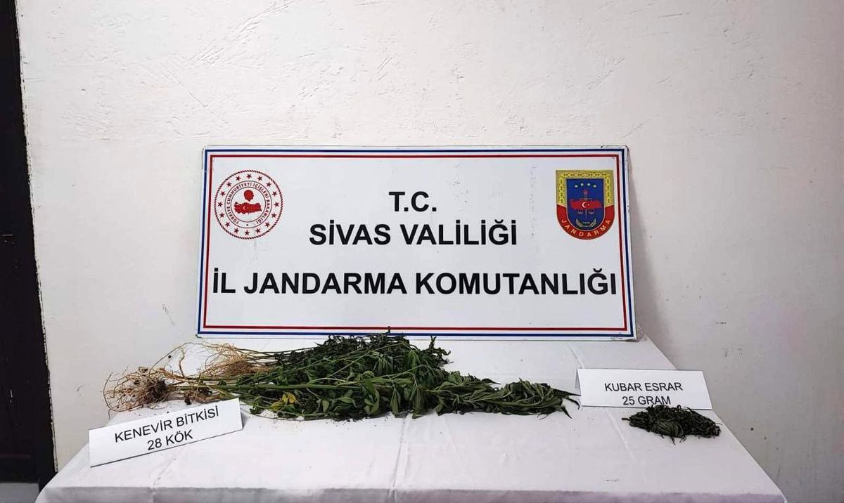 Sivas\'ta uyuşturucu operasyonu: 28 kök kenevir ve 25 gram esrar ele geçirildi