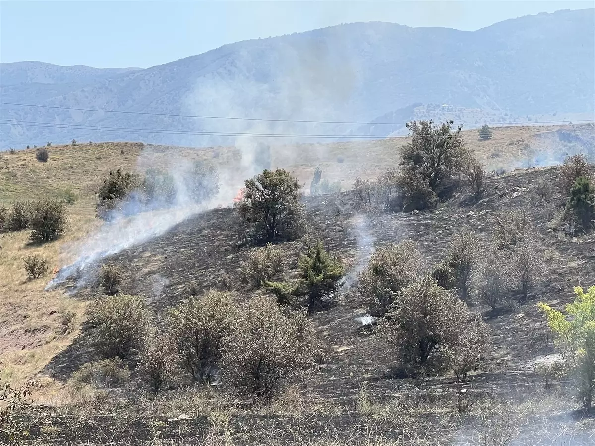Sivas\'ta Tarlada Çıkan Yangın Hasara Neden Oldu