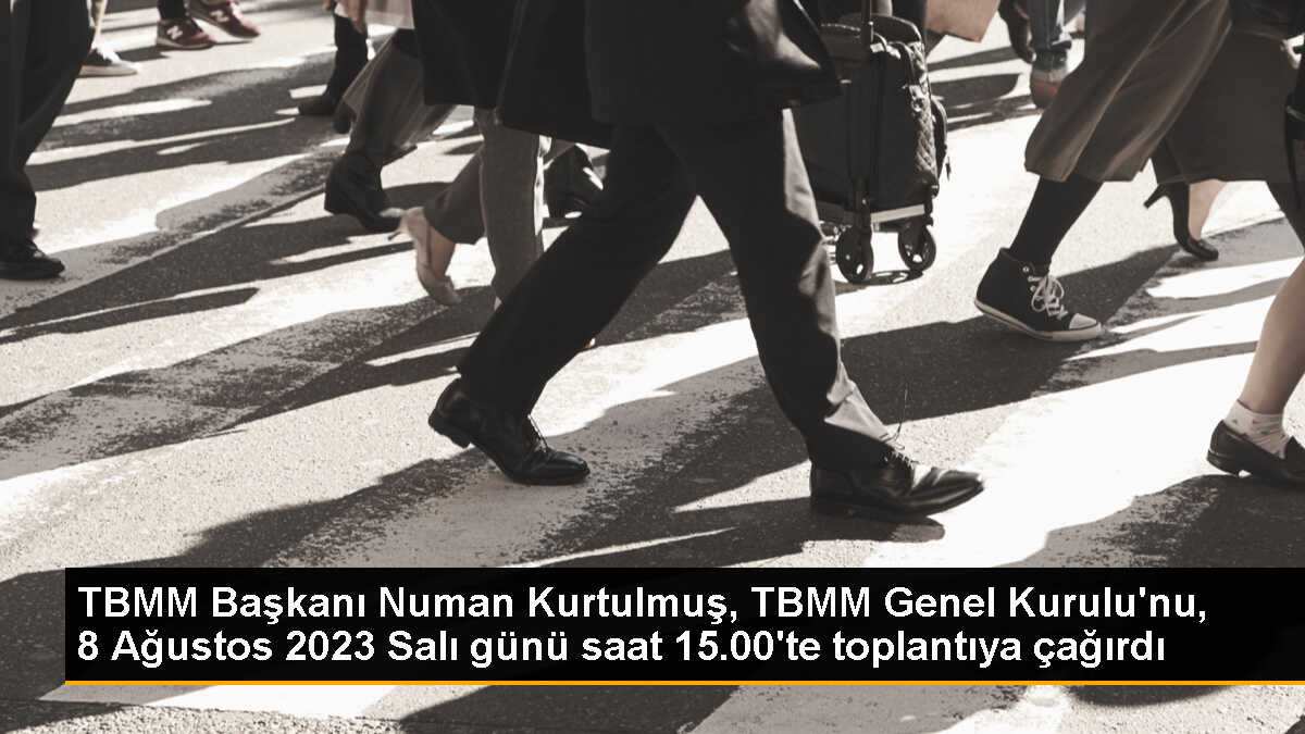TBMM Başkanı Numan Kurtulmuş, TBMM Genel Kurulu\'nu, 8 Ağustos 2023 Salı günü saat 15.00\'te toplantıya çağırdı