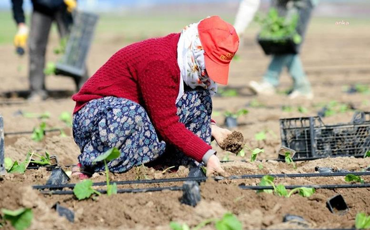 Temmuzda Üretici Fiyatları Yüzde 8,23 Arttı