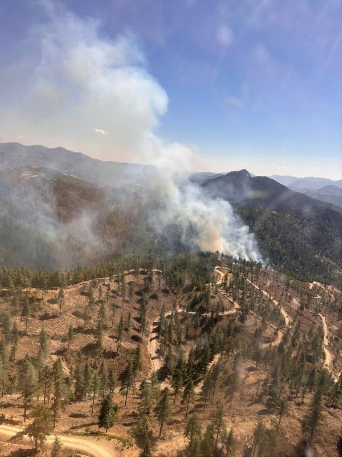 Adana Feke\'de Orman Yangını Çıktı