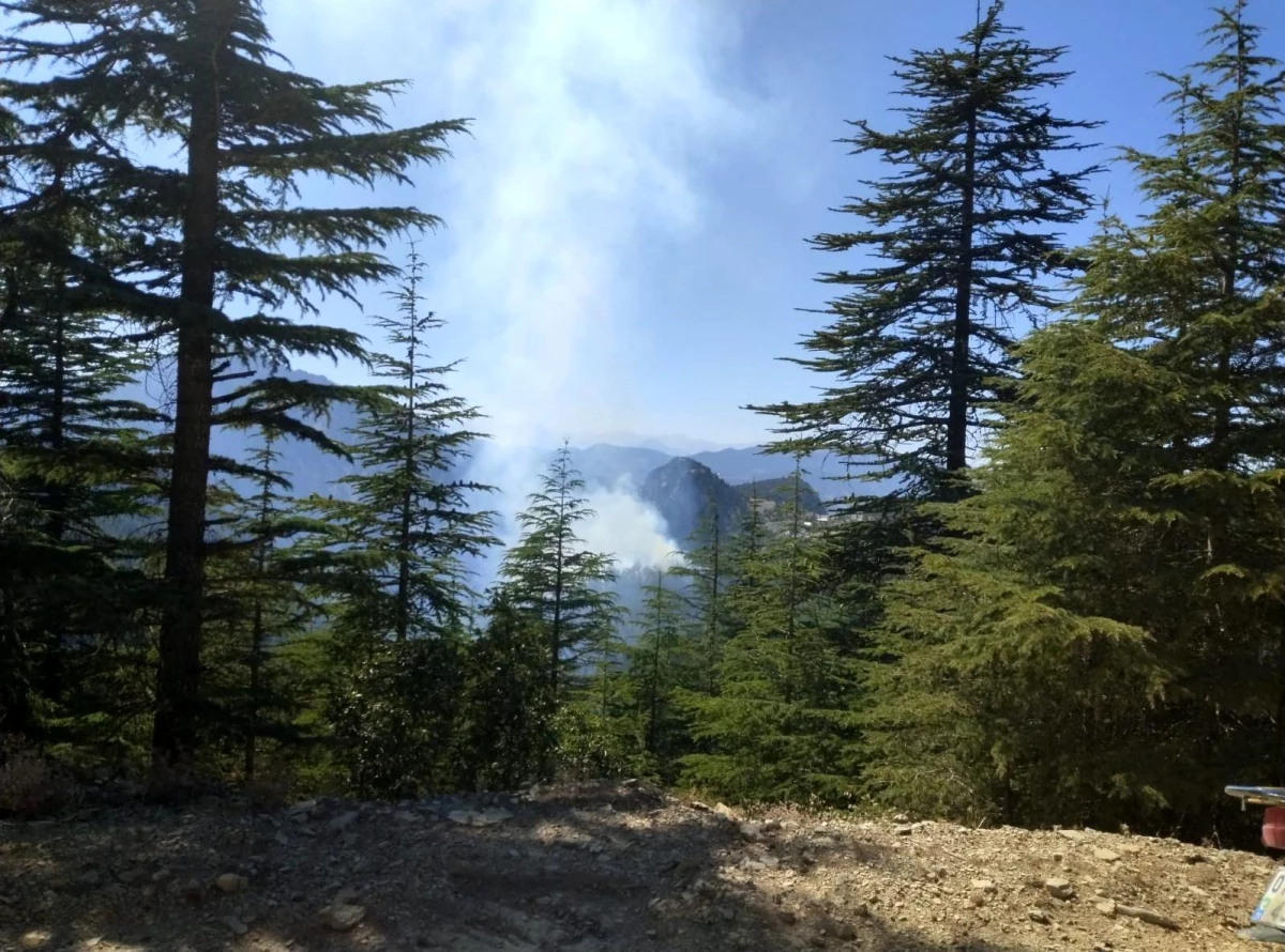 Adana\'nın Feke ilçesinde çıkan orman yangını kontrol altına alındı