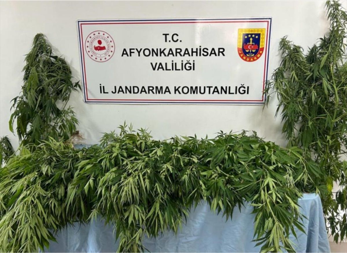 Afyonkarahisar\'da uyuşturucu operasyonunda yakalanan şüpheliye adli işlem uygulandı