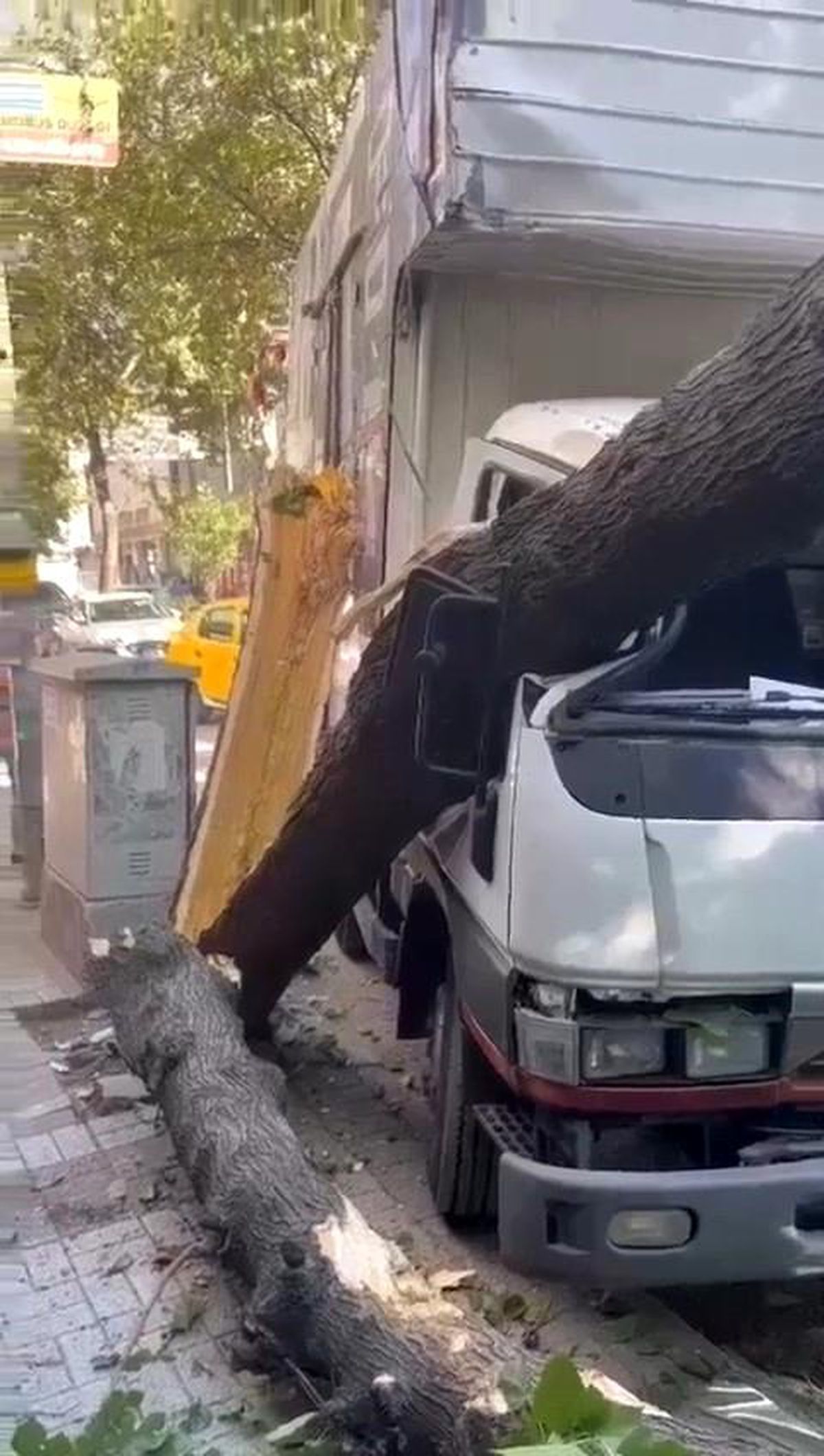 Bursa\'da Kırılan Ağaç Kamyonetin Üzerine Devrildi
