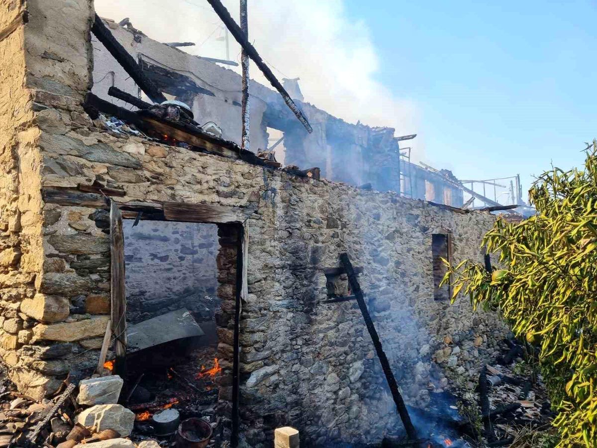 Aydın\'ın Bozdoğan ilçesinde çıkan yangında iki ev tamamen yanarken ölen veya yaralanan olmadı