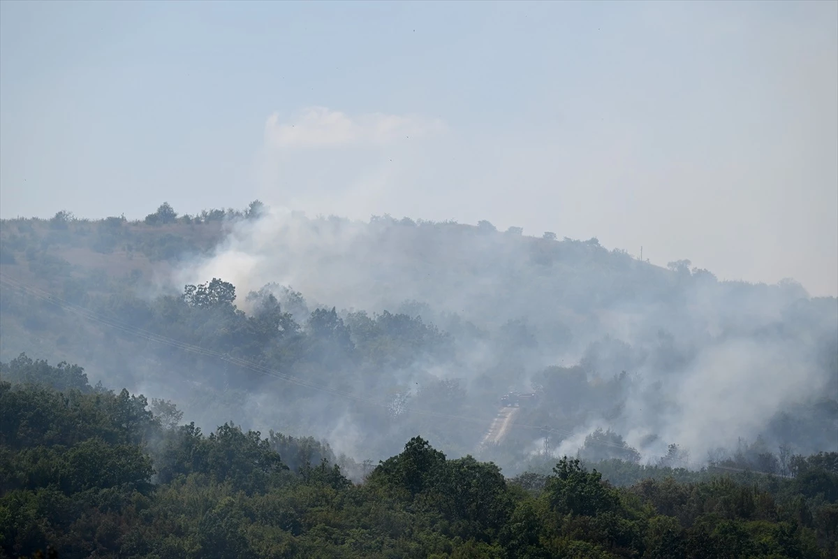 Edirne\'de Bulgaristan sınırında çıkan orman yangınına müdahale ediliyor