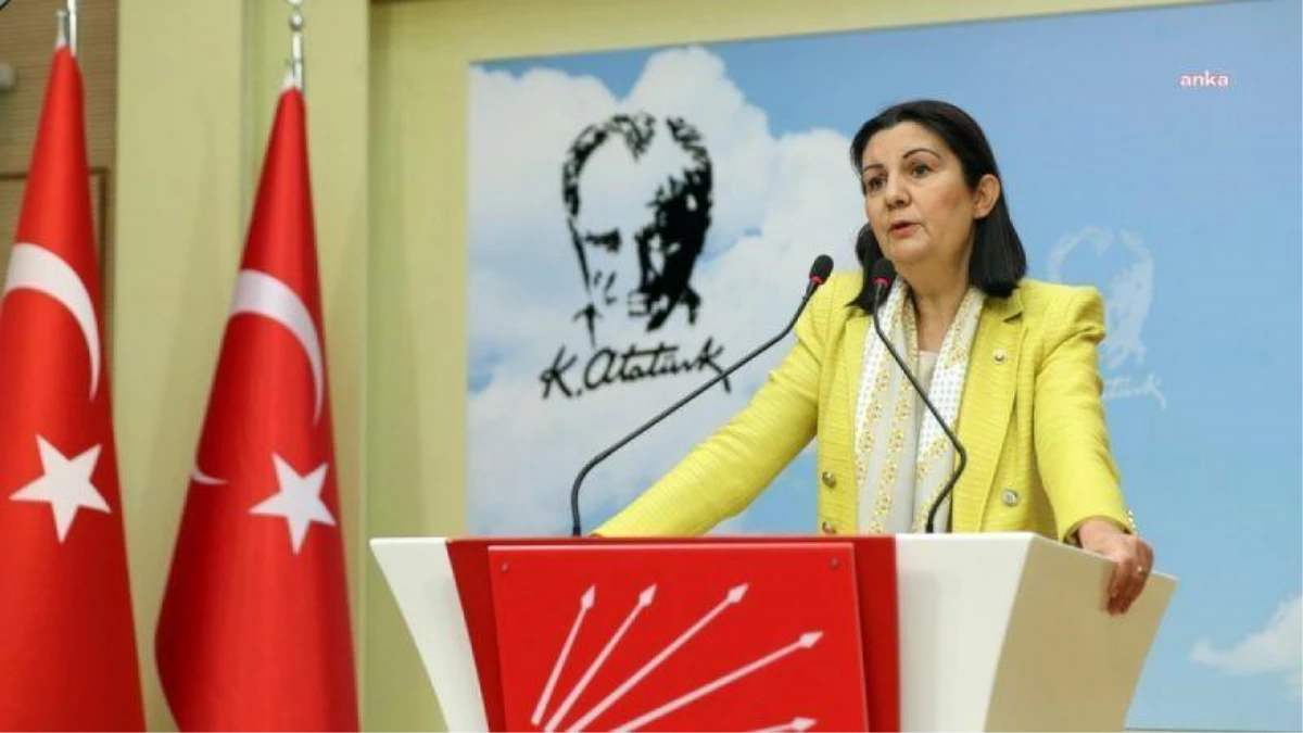 CHP Genel Başkan Yardımcısı Lale Karabıyık: Devlet, tarikat ve terör örgütleriyle ilişkili kuruluşlarla iş birliği yapmaz
