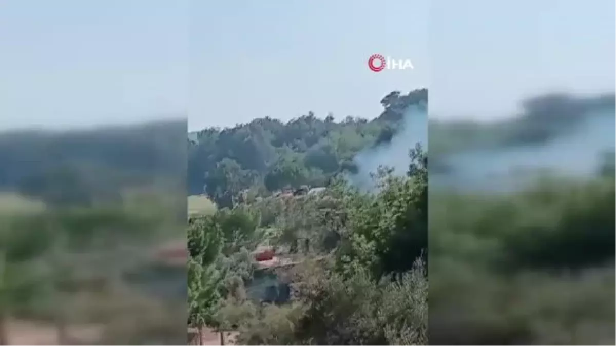 Feke'de orman yangını