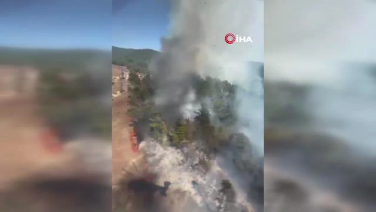 Feke\'de orman yangını: Ekipler havadan ve karadan müdahale ediyor