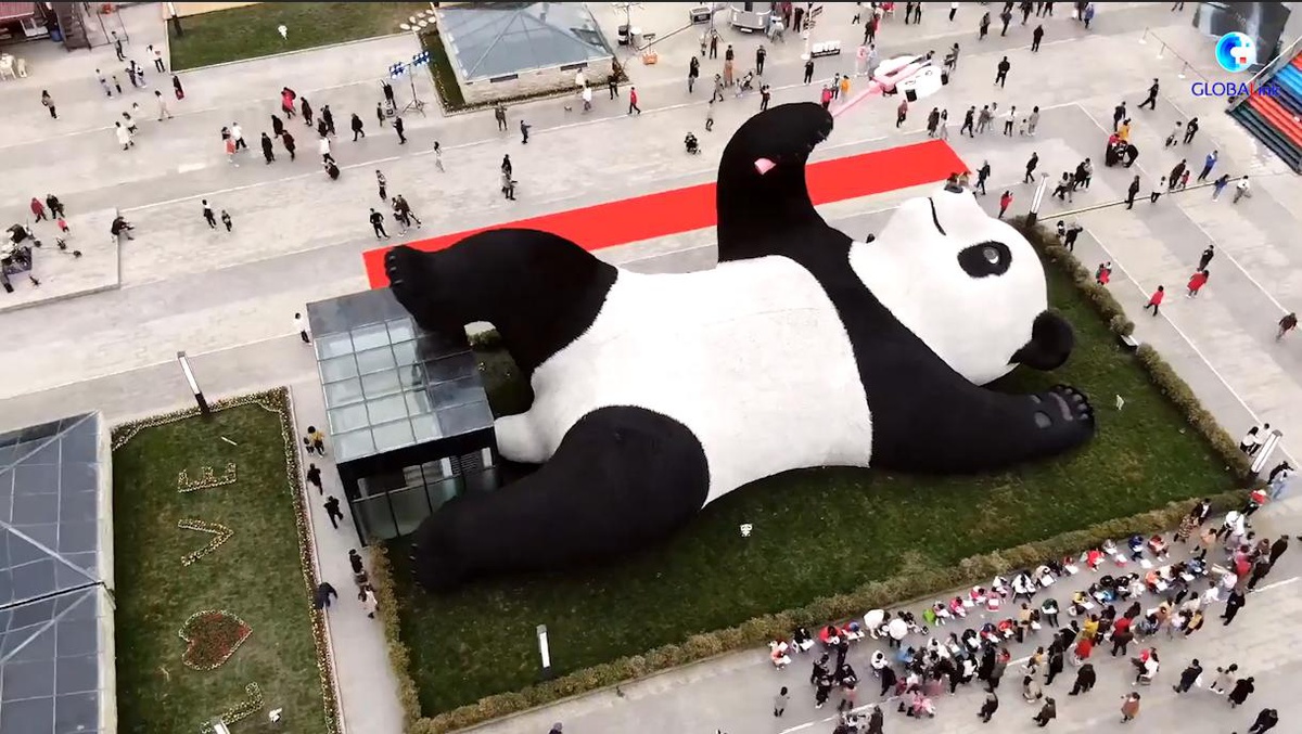 Gürcü yüzücü pandaların izinde Chengdu şehrini keşfetti