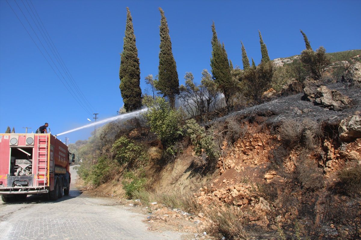 Hatay\'da zeytin bahçesinde çıkan yangın söndürüldü