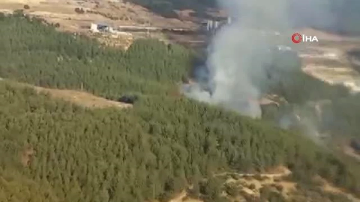 İzmir\'de ormanlık alanda yangına havadan ve karadan müdahale başladı