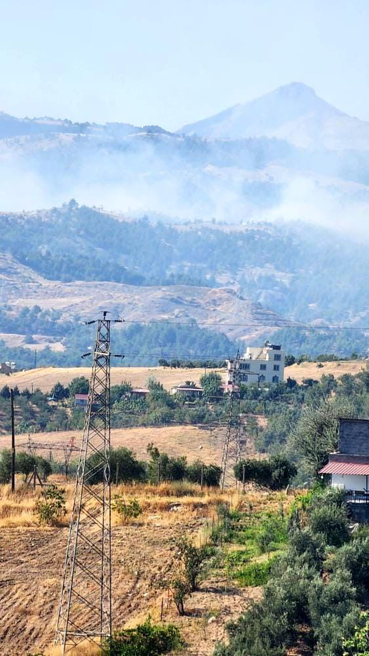 Kahramanmaraş\'ta Ormanlık Alanda Yangın Çıktı
