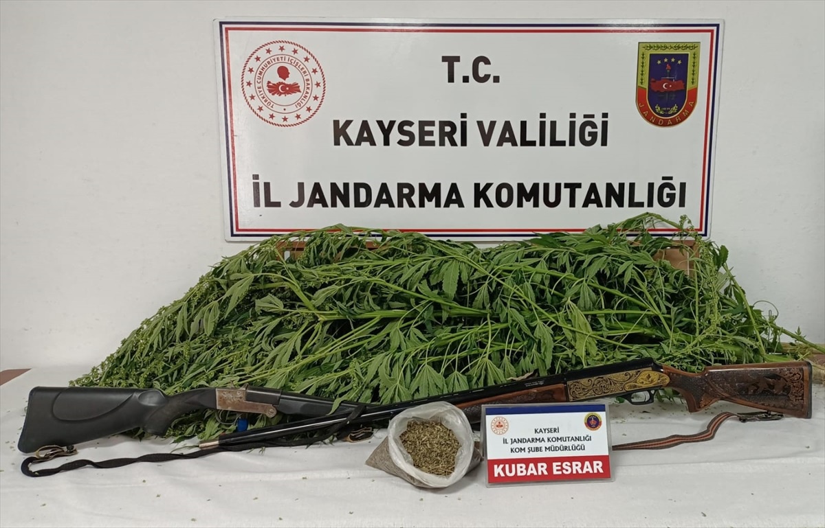 Kayseri\'de bahçesinde kenevir yetiştiren şüpheli gözaltına alındı