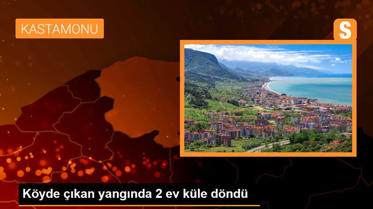 Köyde çıkan yangında 2 ev küle döndü