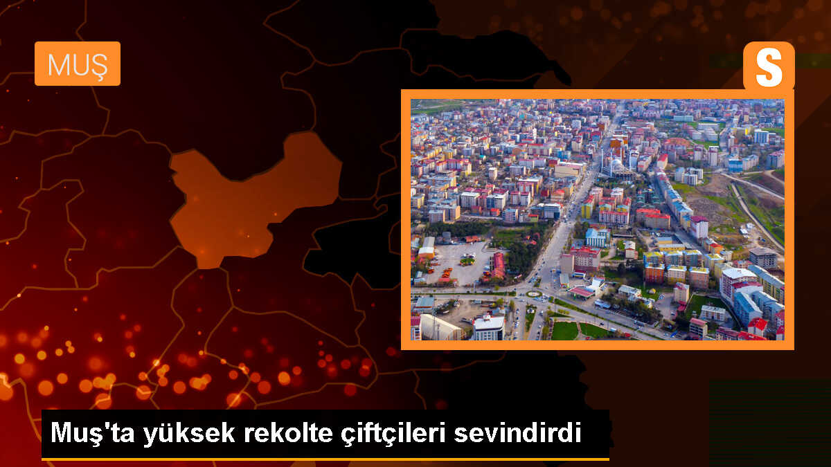 Muş\'ta Çiftçiler Yüksek Rekolteyle Sevinçli