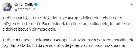 PKK yandaşlarının AİHM'deki skandal eylemine AK Parti Sözcüsü Çelik'ten sert tepki