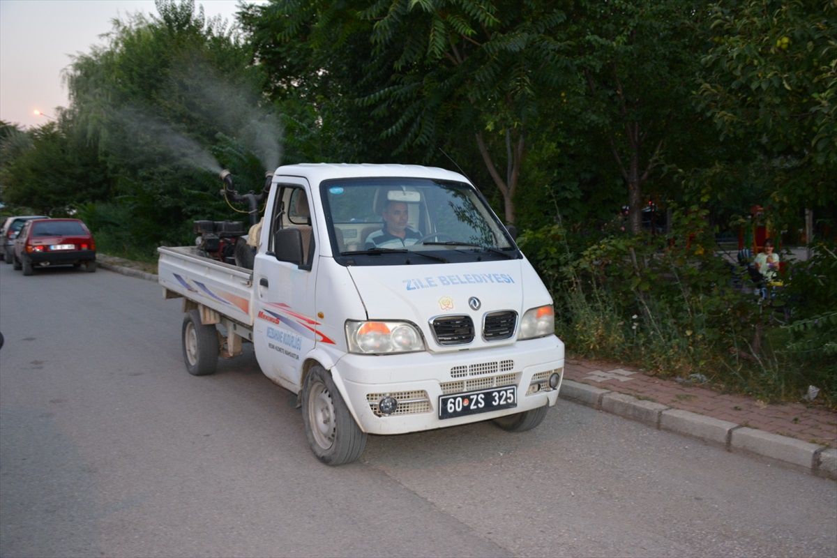 Tokat\'ta Yaz Aylarında Haşerelere Karşı İlaçlama Çalışması Başlatıldı