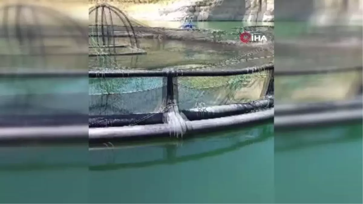 Alabalık üretim tesisinde çalışan kadın mühendis, tekneden suya düşüp kayboldu