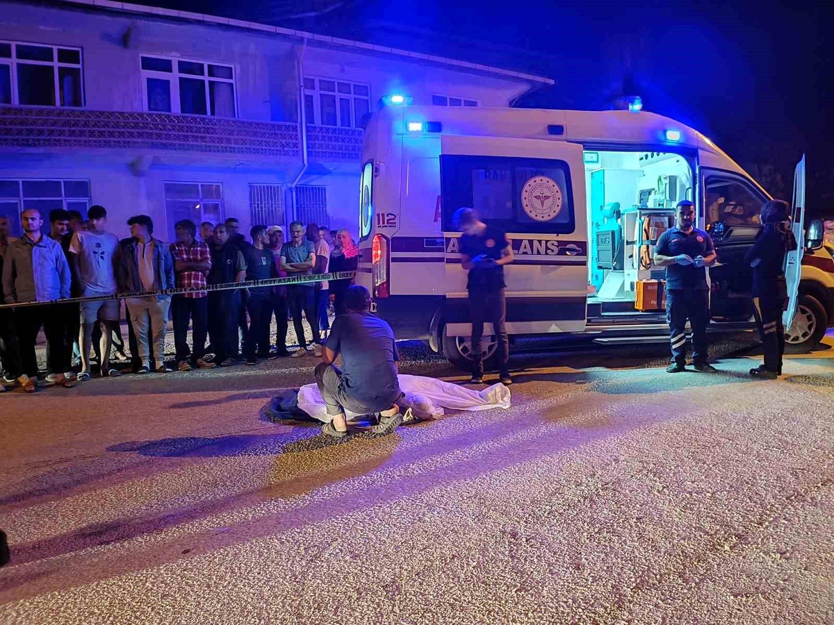 Amasya\'da Bedensel Engelli Kadın Trafik Kazasında Hayatını Kaybetti