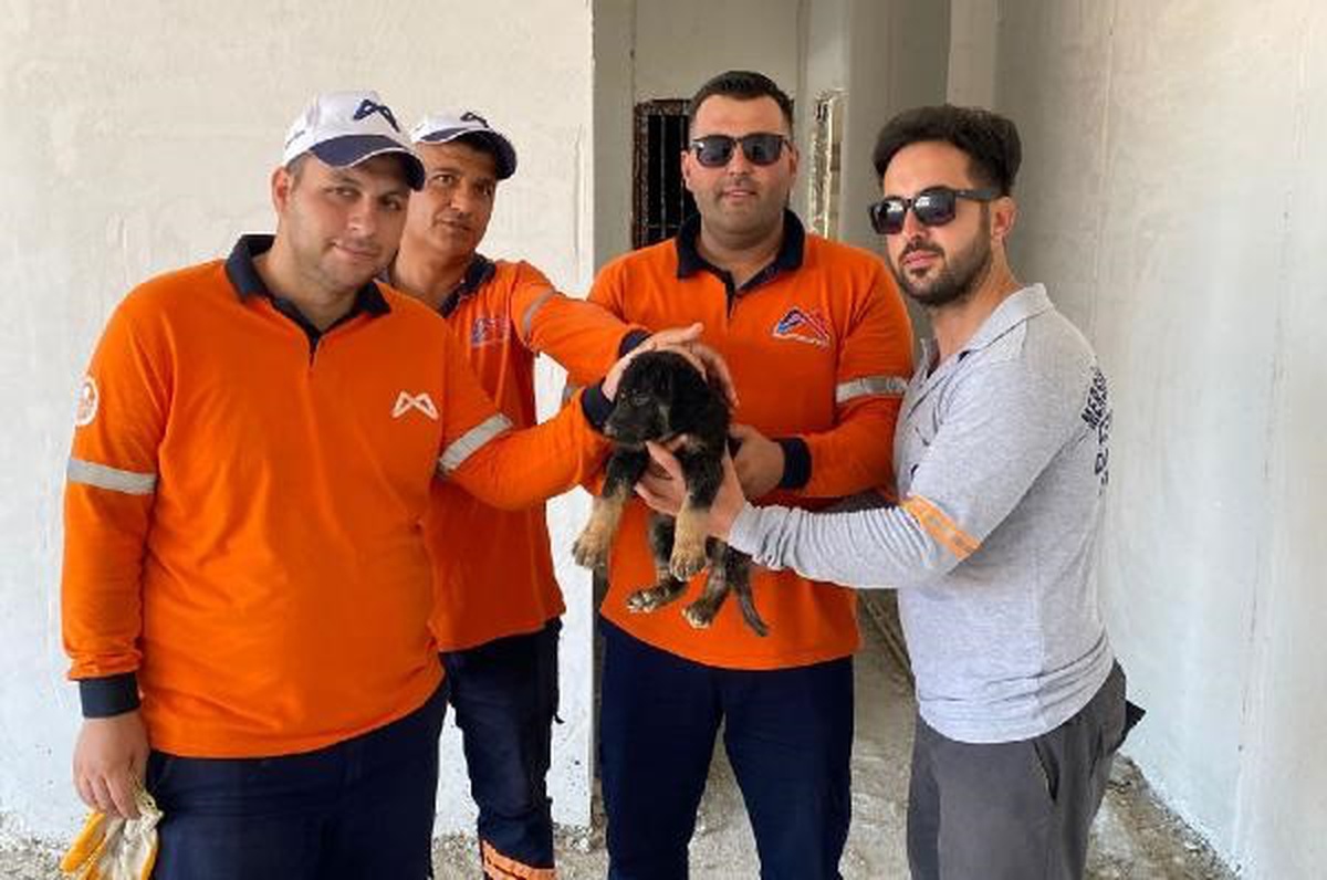 İnşaat halindeki binanın asansör kuyusuna düşen yavru köpek kurtarıldı