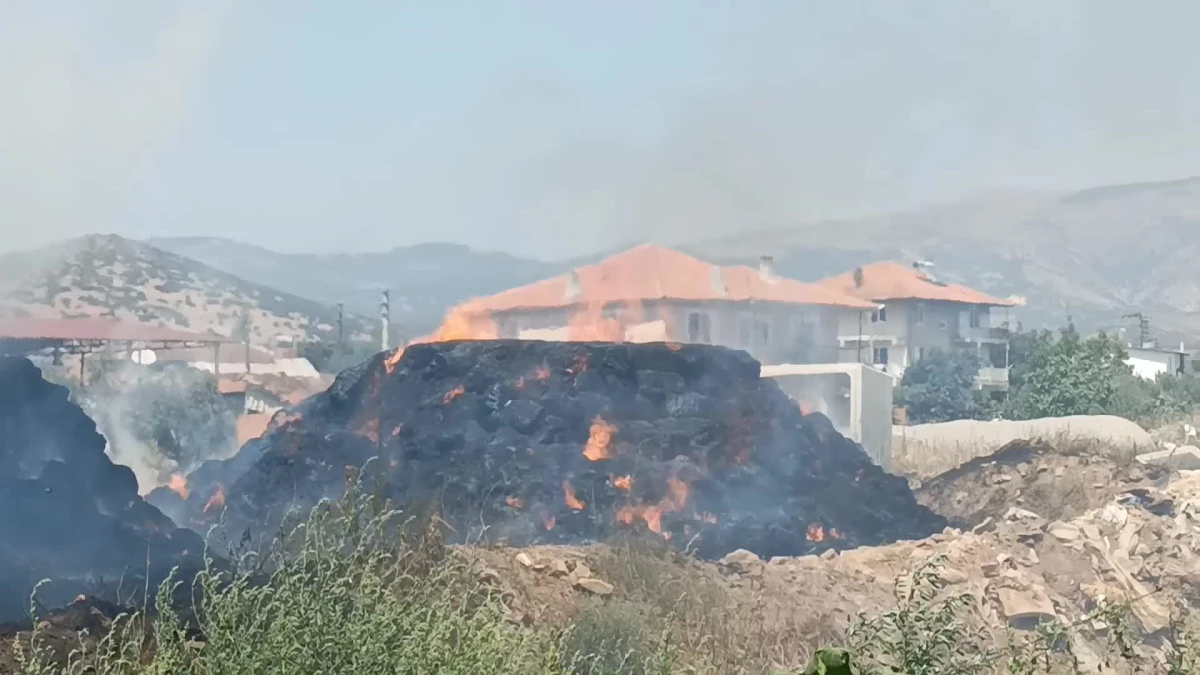 Aydın\'ın Karacasu ilçesinde saman yangını: 50 ton saman zarar gördü