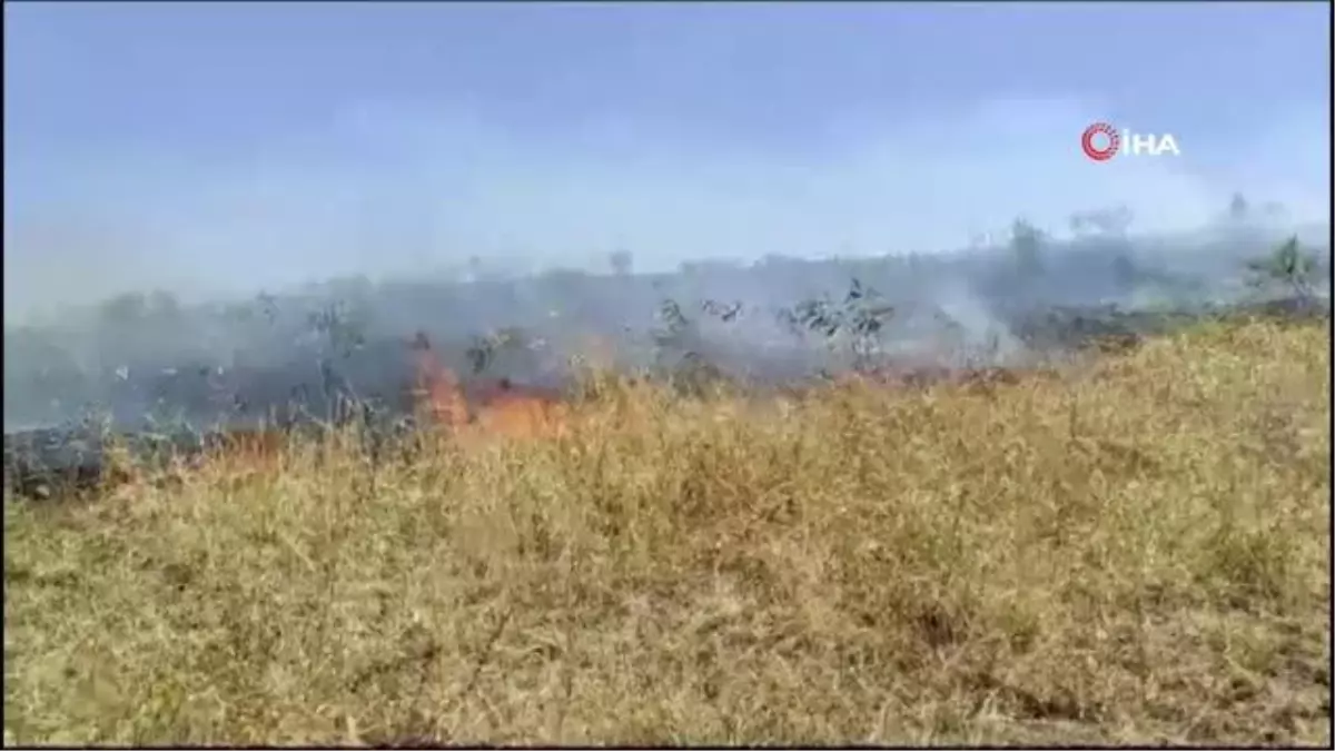 Batman\'da yaşlı adam bahçesindeki otları yakmak isterken kendini yaktı