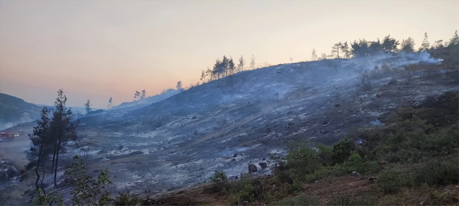 Bilecik\'te Orman Yangını Kontrol Altına Alındı