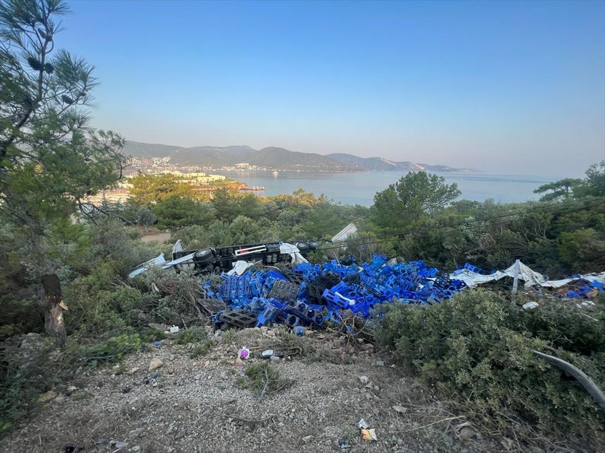 Bodrum\'da ormanlık alana devrilen çekicinin sürücüsü yaralandı