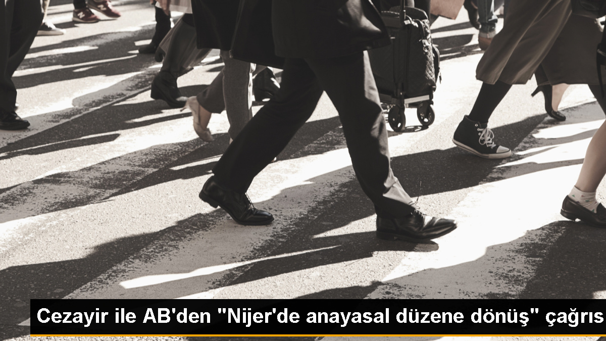 Cezayir ve AB, Nijer\'deki anayasal düzenin sağlanması için baskı yapma çağrısında bulundu