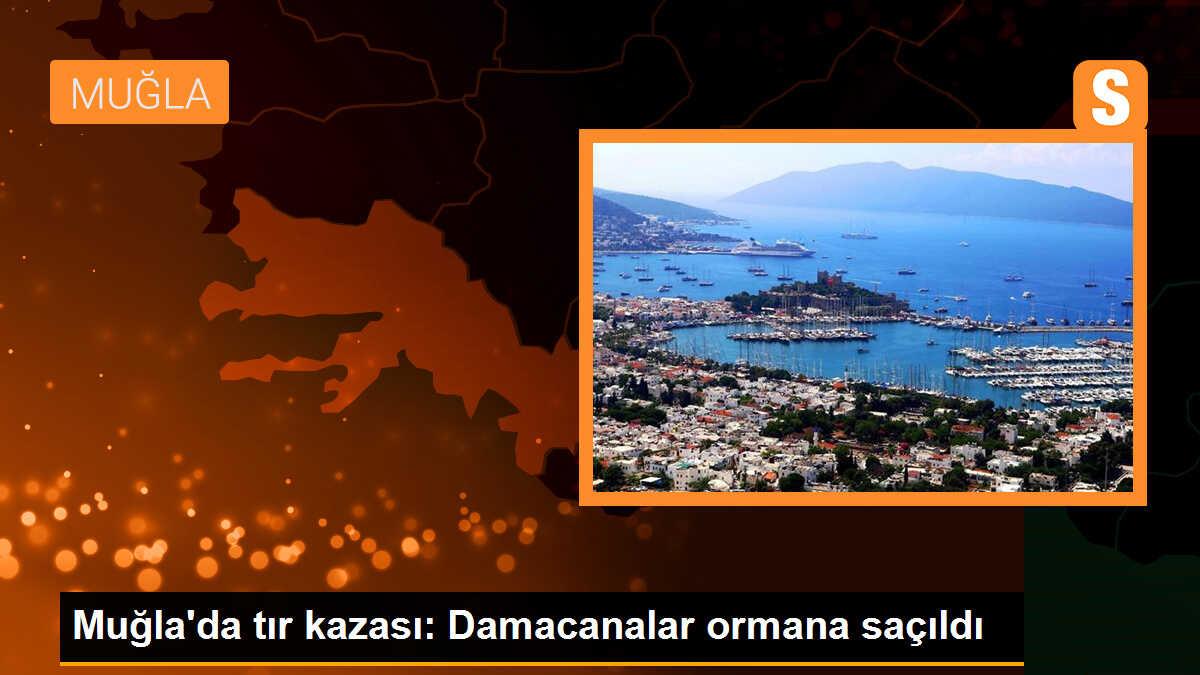 Bodrum\'da tır kazası: Damacanalar ormana saçıldı
