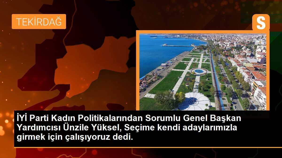 İYİ Parti, yerel seçimlere kendi adaylarıyla girmek için çalışıyor